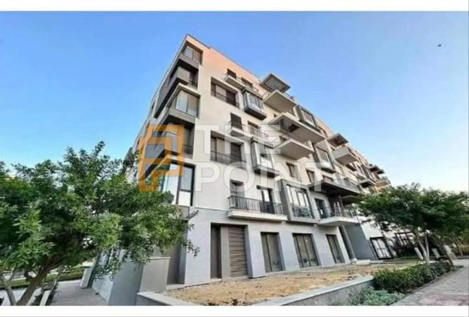 53733028 - Property Image 2