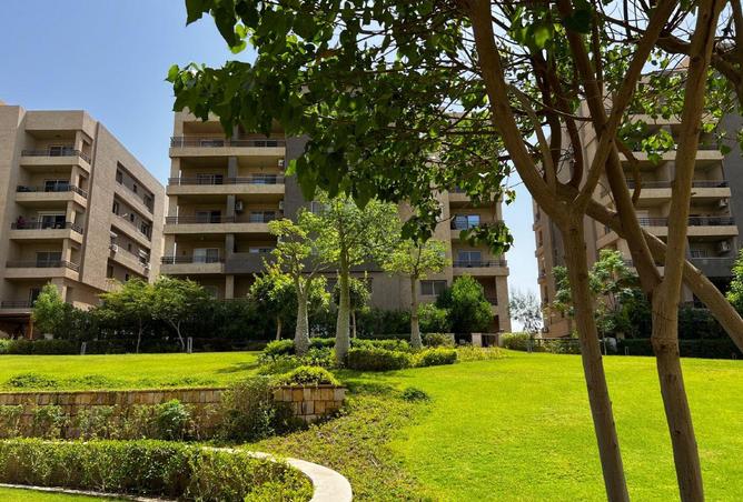 56003371 - Property Image 3