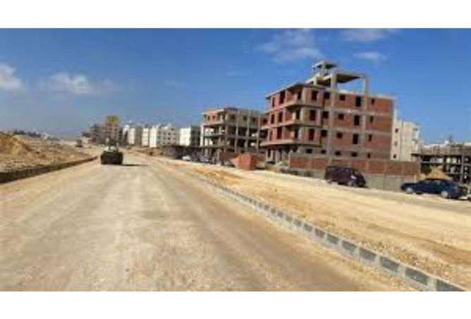 55504037 - Property Image 2