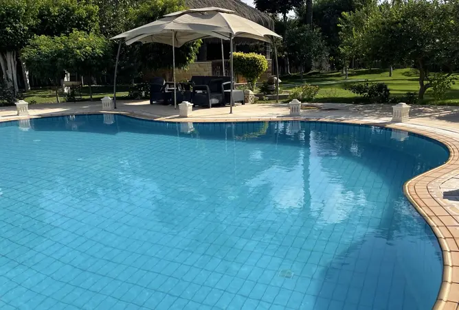 118807984 - Property Image 2