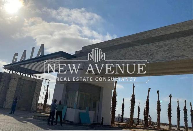 66426798 - Property Image 3