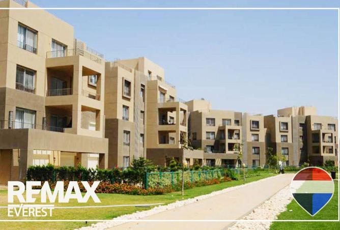 56241216 - صورة العقار 3