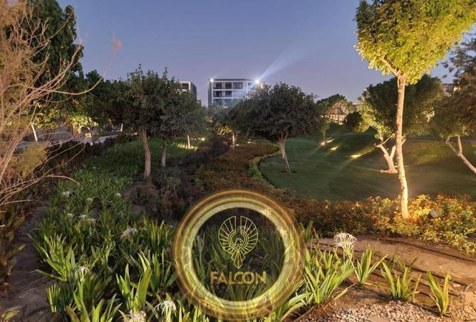 67478141 - Property Image 3