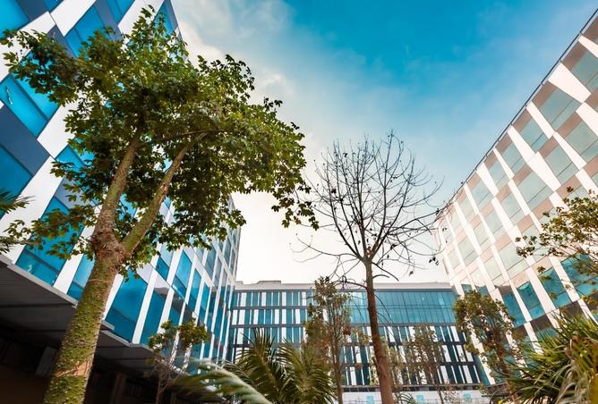 55755642 - صورة العقار 3