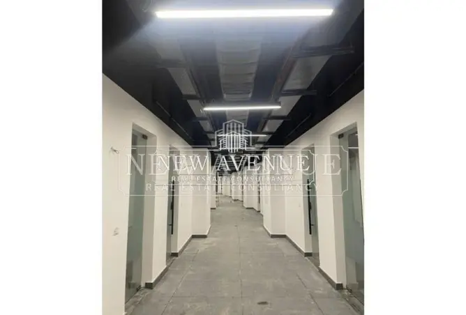 109631667 - Property Image 3