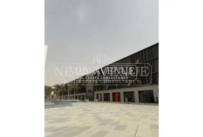 109631667 - Property Image 2