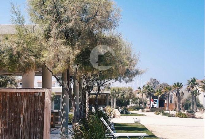 66966910 - Property Image 3