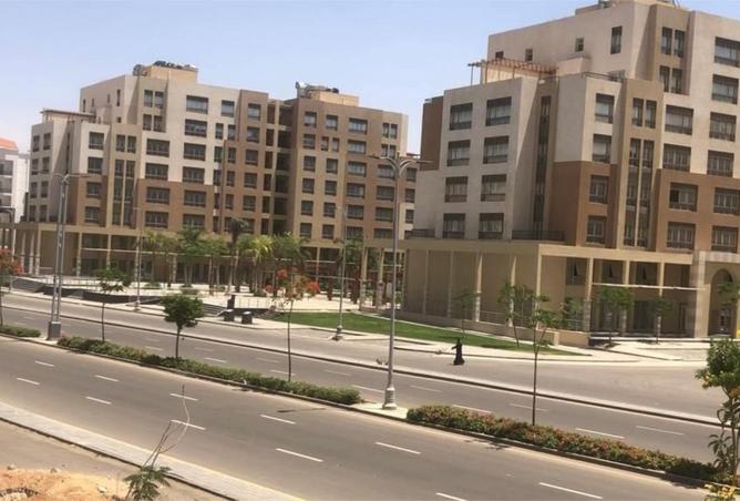 55510448 - صورة العقار 3