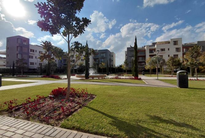 70877763 - Property Image 3