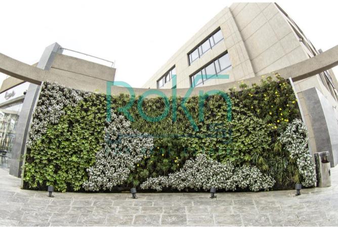 52454333 - صورة العقار 3