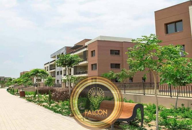91851251 - Property Image 2