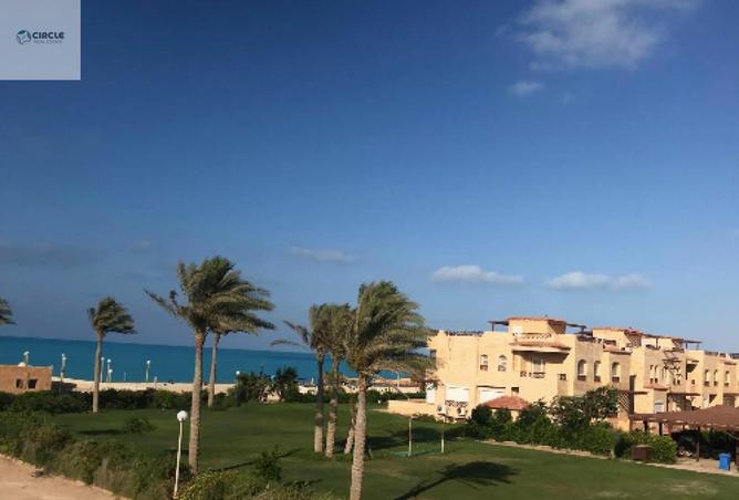 79993678 - صورة العقار 3