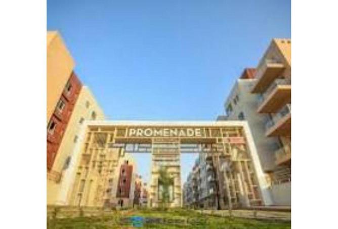 56996249 - Property Image 3