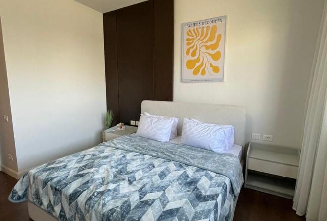 56002544 - Property Image 3