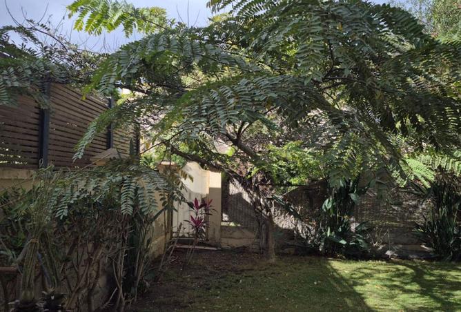 62161741 - Property Image 2