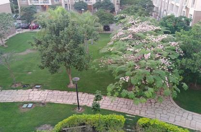 Apartment - 3 - 2 for rent in B7 - Madinaty - Cairo