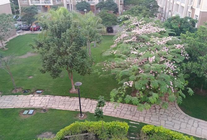 109349026 - الصورة الرئيسية للعقار