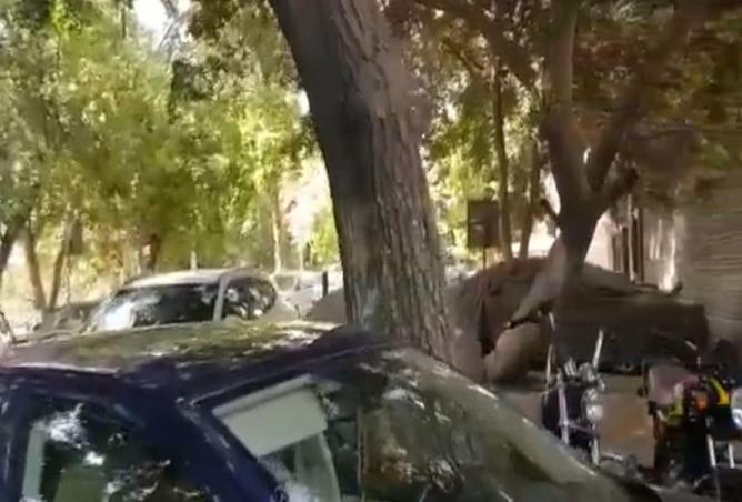 8699909 - صورة العقار 2