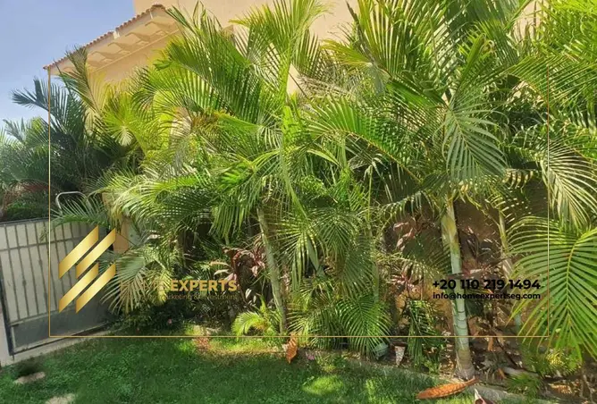 114612001 - صورة العقار 3