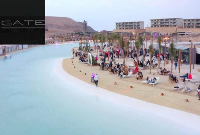 79986379 - صورة العقار 3