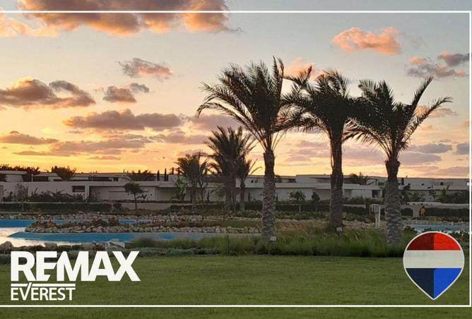 8533897 - صورة العقار 3