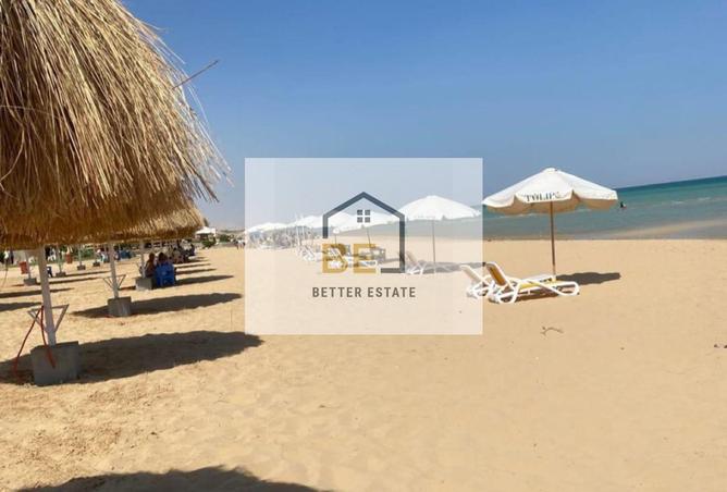 73492169 - Property Image 3