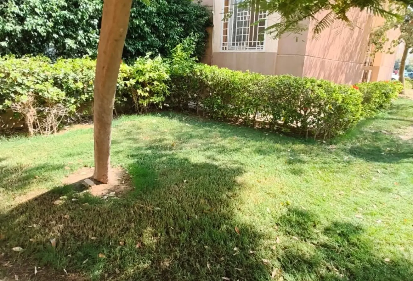 114619804 - الصورة الرئيسية للعقار