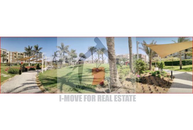 8693971 - Property Image 2