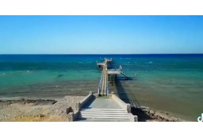 118291999 - صورة العقار 3
