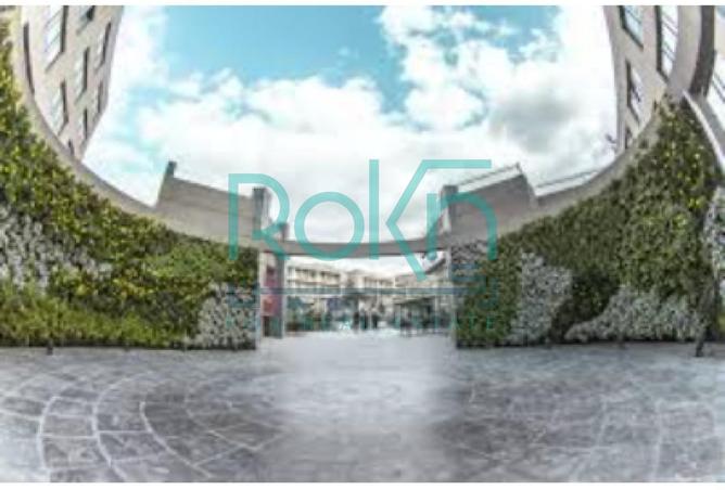 54237502 - Property Image 3