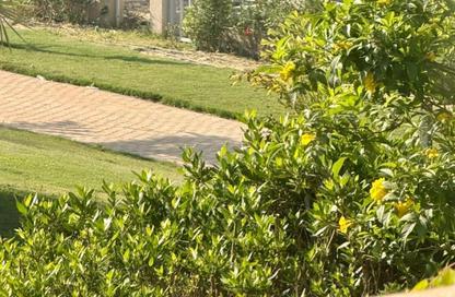 Townhouse - 4 Bedrooms - 4 Bathrooms for sale in Palm Hills Golf Extension - Al Wahat Road - 6 October City - Giza