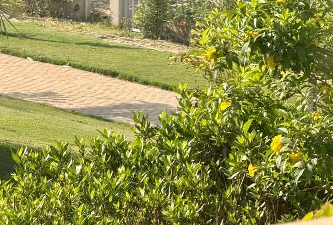 70862560 - صورة العقار 3