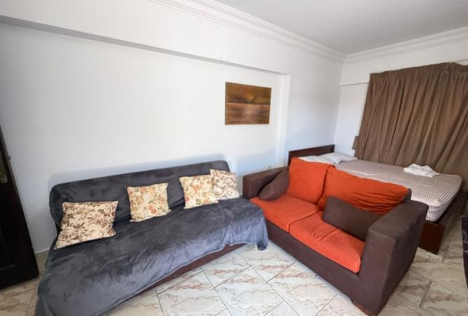 105726847 - Property Image 3