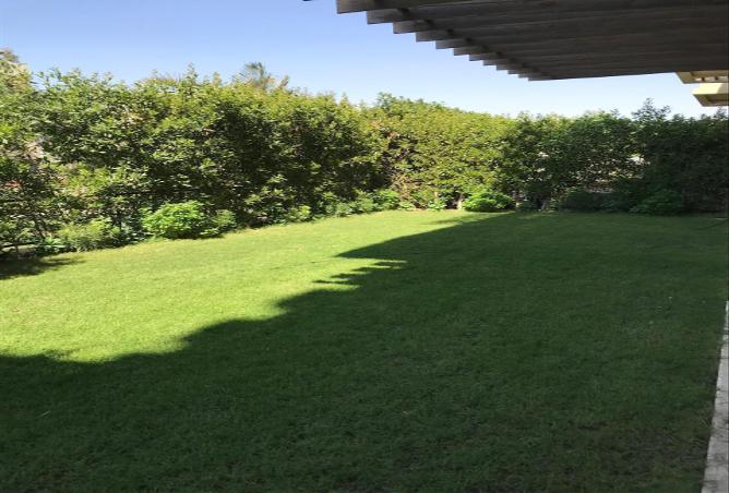 61207526 - صورة العقار 3