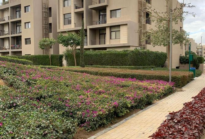 69829514 - Property Main Image