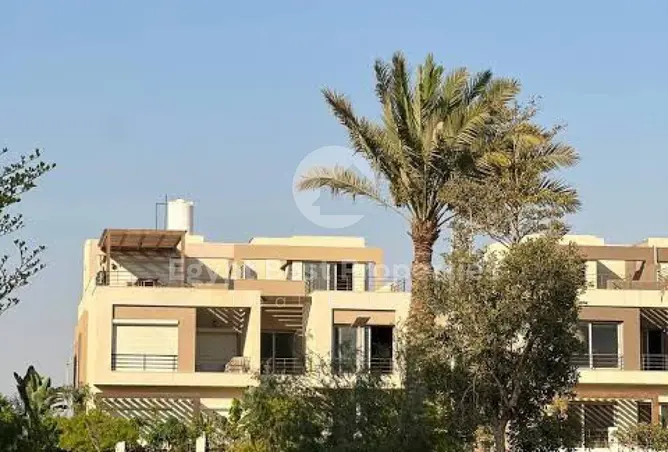 116496436 - صورة العقار 2