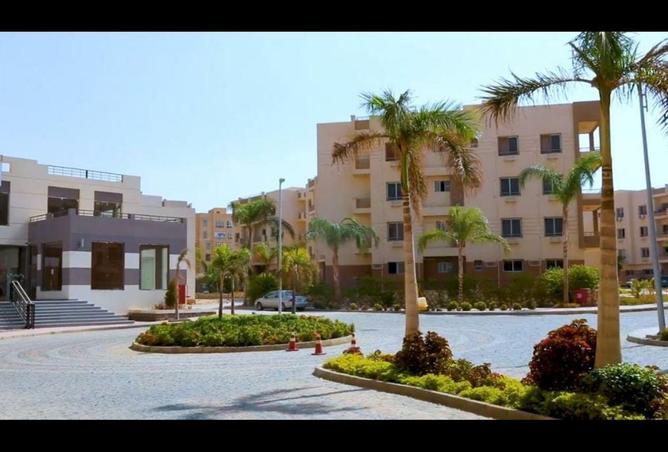 58736930 - Property Image 3