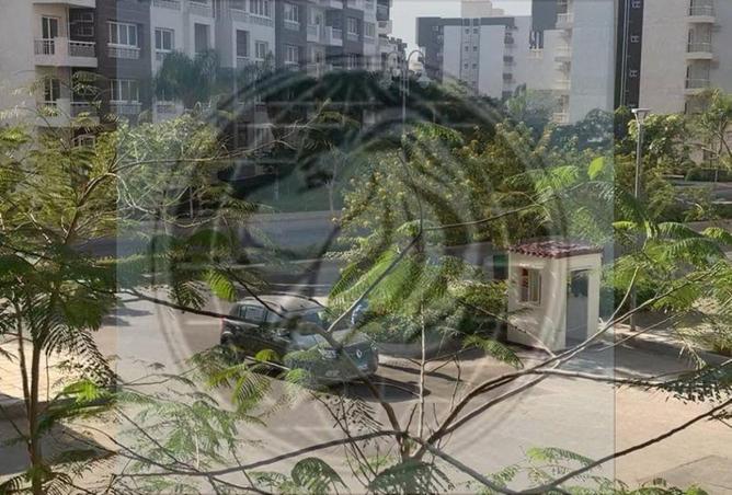 100082537 - صورة العقار 2