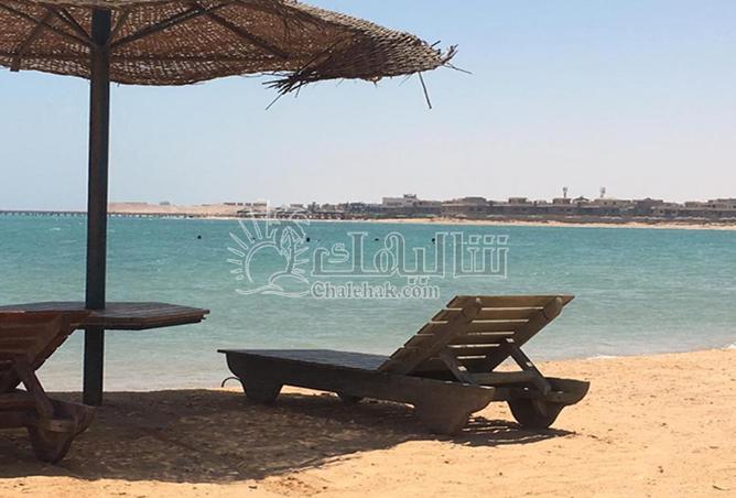 97434681 - Property Image 2