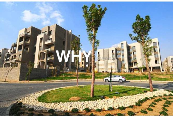 53723826 - صورة العقار 3