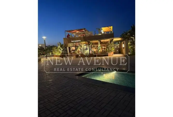 118804036 - Property Image 3
