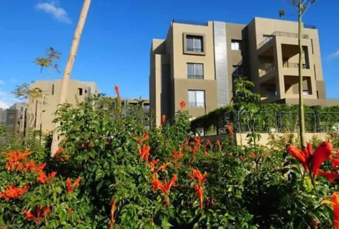 8677023 - Property Image 3