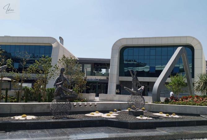 92129259 - صورة العقار 3