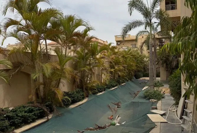 112973353 - Property Image 3