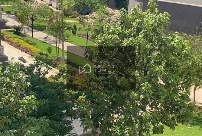 8710624 - صورة العقار 3