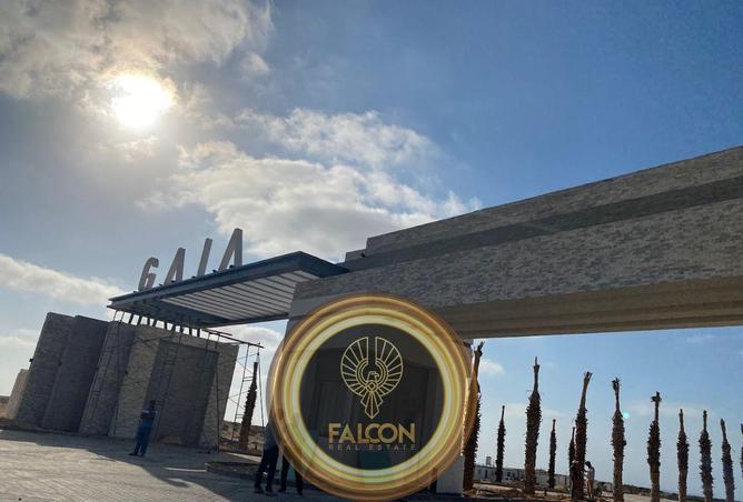 65919457 - صورة العقار 3