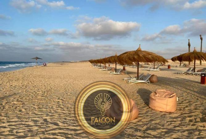 65919457 - صورة العقار 2