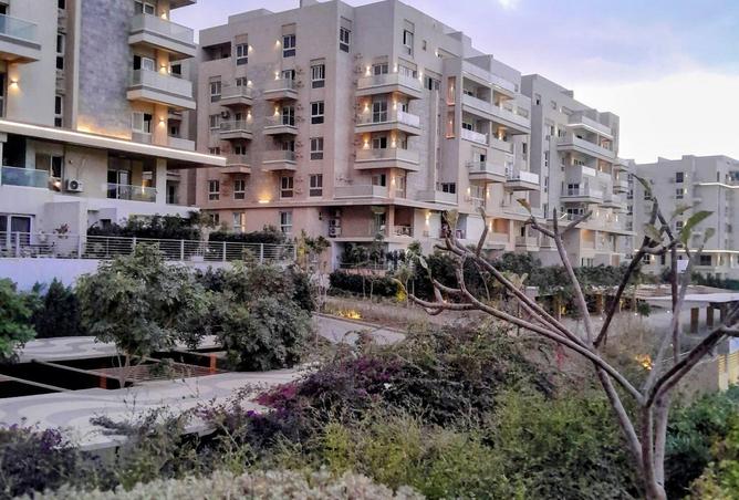 8558902 - Property Image 3