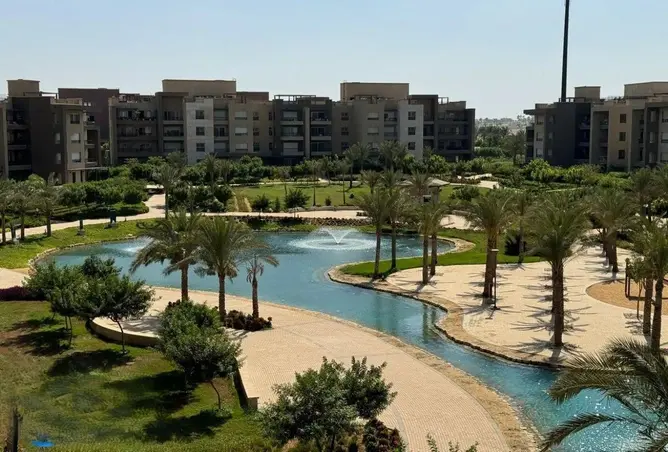 97719305 - Property Image 3