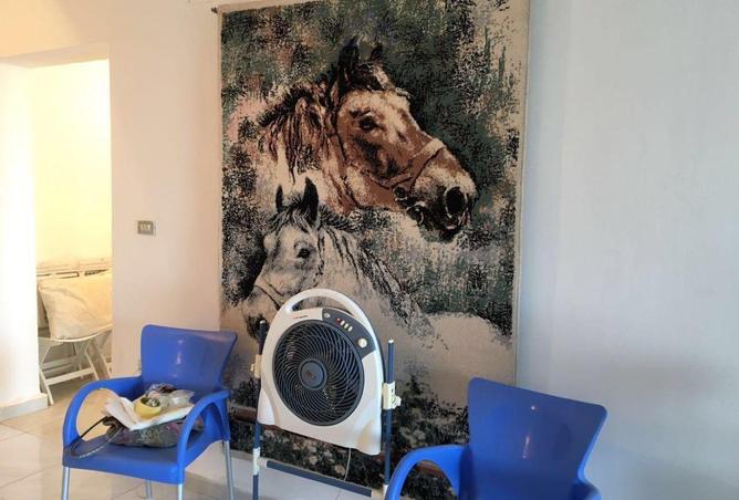 57499858 - Property Image 3